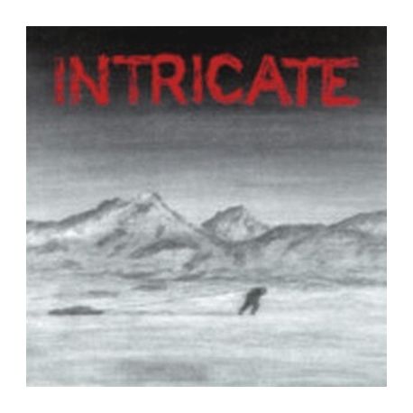 Intricate - LP