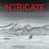 Intricate - LP