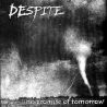 Despite ‎– No Promise Of Tomorrow - LP