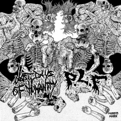 PRETTY LITTLE FLOWER / LAST DAYS OF HUMANITY - split LP